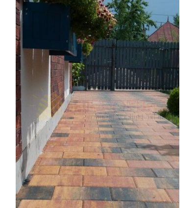 PAVAJ CROMATICA DREPTUNGHI D4 FESTIVAL