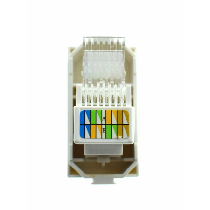 PRIZA 1M UTP CAT5