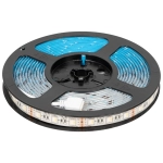 Kit banda LED RGB+WW 10W 12V IP65 5m - Homelight