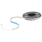 Kit banda LED RGB+WW 10W 12V IP65 5m - Homelight - imagine 2