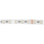 Banda LED 24V 60 LED/m 14.4W/m RGB + 3000K IP20 5m Erste - imagine 3